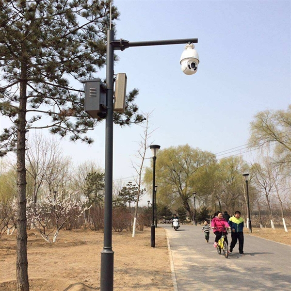 昌吉路灯监控杆-LB-03