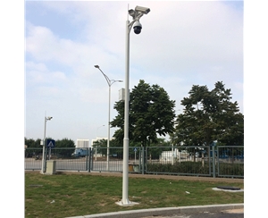 昌吉道路监控杆-LB-05