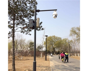 昌吉路灯监控杆-LB-03